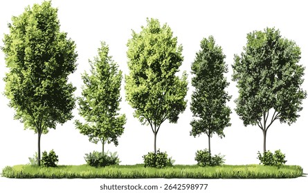 Vector cut out greenery trees shapes, transparent background, nature, eco friendly, forest, outdoor, green leaves, landscape, trees silhouettes, natural foliage
