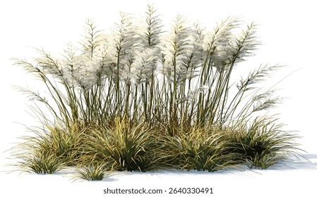 Vector cut out high grass floral design, ornamental flowers, transparent background, nature illustration, wildflowers, green grass, botanical art, spring background