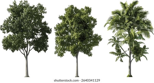 Vector cut out rainforest trees, eco friendly foliage, transparent, tropical jungle design, green trees, nature elements, botanical plants, isolated leaves