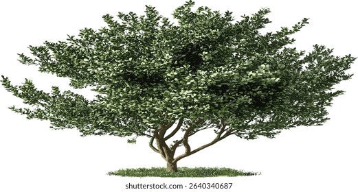 Vector cut out tree shape, shrubs silhouette, nature vector, garden illustration, plant design, green foliage, outdoor concept, eco friendly, landscape vector, abstract tree shape