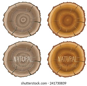 Vector cut tree trunk. Collection of two color wood