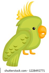 a vector of a cute and adorable cockatiel