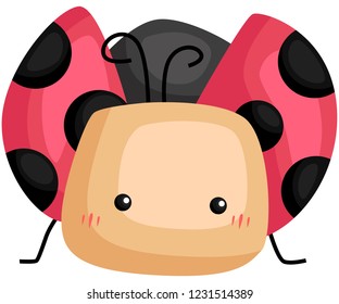 a vector of a cute and adorable lady bug