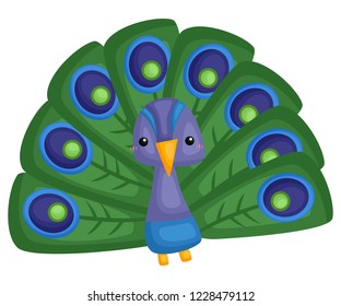 a vector of a cute and adorable peacock