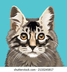 vector of cute and adorable pet cat. cats that are black and gray.