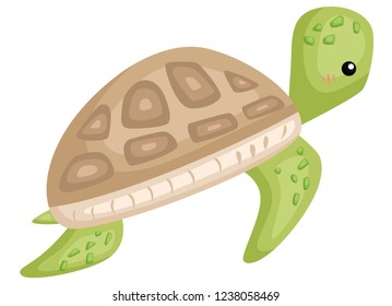 a vector of a cute and adorable turtle