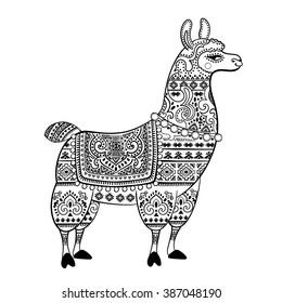 Vector cute Alpaca Llama animal with ethnic ornaments