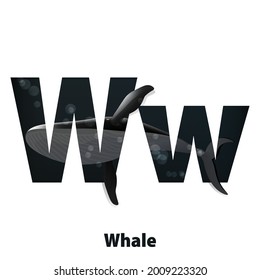 Vector cute animals for children to learning alphabet W Cartoon characters Whale isolated on white background Capital letter and Lowercase letter and animal images for learning online