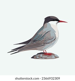 vector cute arctic tern bird cartoon style