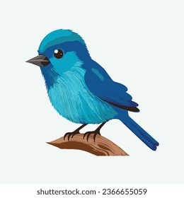 vector cute azure dollar bird cartoon style