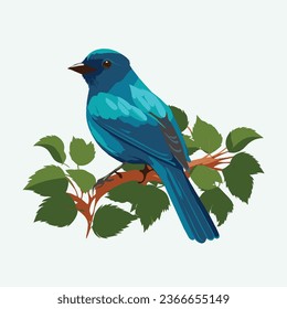 vector cute azure dollar bird cartoon style