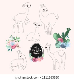 Vector cute baby llama, alpaca characters set. Sketch, outline, cartoon illustratuon with flowers, floral bouquet, cactuses, succulents bloom and vintage frame