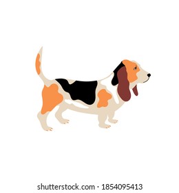 Vector cute basset hound. Dog breeds. Doodle illustration isolated on white background