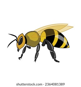 Vector cute bee flying cartoon vector illustration