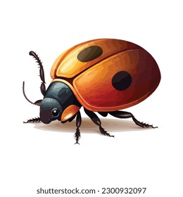 estilo de dibujos animados vectorial lindo Beetle