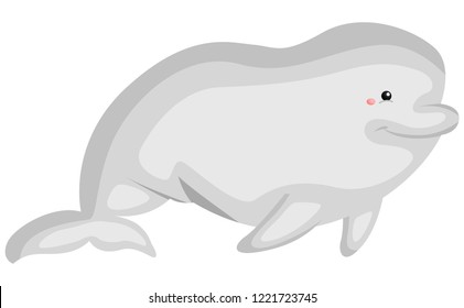 a vector of a cute beluga whale