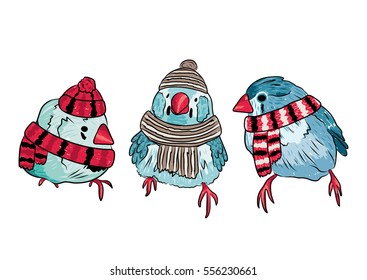 vector cute birds warm dressed in winter season. EPS