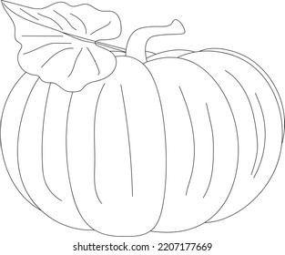 Vector cute black and white pumpkin. Autumn vegetable. line illustration. Traditional thanksgiving food, Vector illustration.