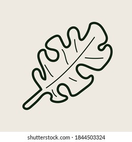 Vector of cute black and white sketch house plants isolated on white background. Hand drawn ink illustration, line drawing, Doodle vector art 
