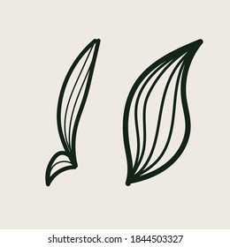 Vector of cute black and white sketch house plants isolated on white background. Hand drawn ink illustration, line drawing, Doodle vector art 