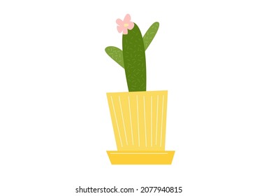 Cactus vectorial lindo floreciente en colores de tendencia dibujados en estilo plano aislados en fondo blanco