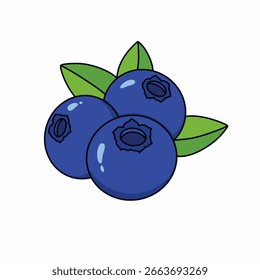 Vector lindo arándanos está aislado en el fondo blanco