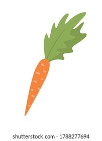 Vector cute carrot. Autumn vegetable. Flat style orange veggie. Funny illustration isolated on white background. Healthy food icon
