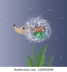 Vector cute carton hedgehog-dandelion. Vector hedgehog. Hedgehog vector illustration