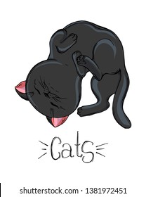 Vector cute cartoon black painted cat.