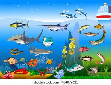 Vector cute cartoon different fishes isolated set