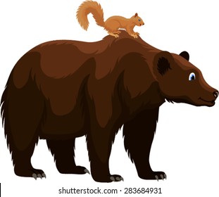 vector Cute cartoon Eurasian red squirrel and  Grizzly Bear