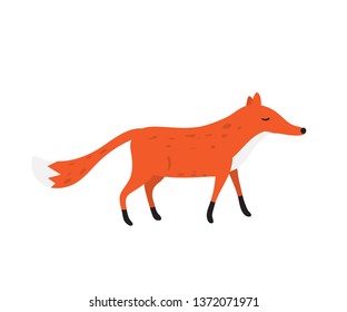 Vector cute cartoon fox isolated on white background. 