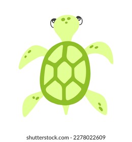 Vector cute cartoon green sea turtle in flat style. Isolated illustration of sea animal character