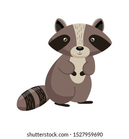 Vector cute cartoon raccoon. Funny isolated object on white background . Emotion little raccoon. Animal character design and Flat vector illustration isolated 