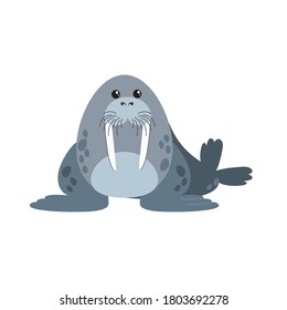 Walrus cartoon image Royalty Free Stock SVG Vector
