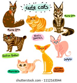 Vector cute cat.Set of cartoon animal characters. Hand drawn Illustration  breeds of cats