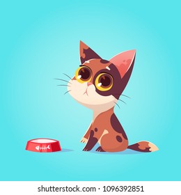 Vector cute cat character illustration. Cartoon style. Pity hungry kitten with bowl. Pet.