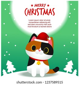 Vector cute cat character wearing Santa Claus hat, Merry Christmas card