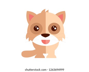 Vector cute cat on a white background