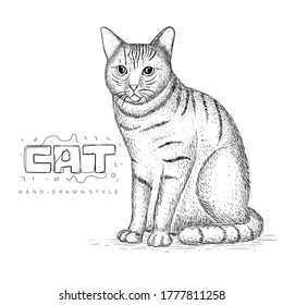 vector cute cat sitting. hand drawn animal illustrations