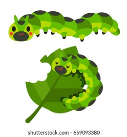 Vector cute caterpillar and leaf isolated on white background.