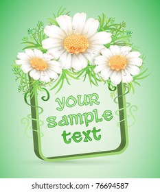 vector cute chamomile frame