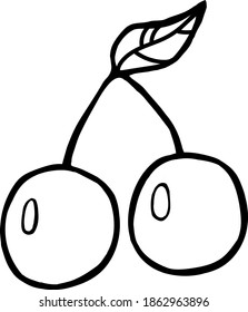 vector cute cherry with leaf