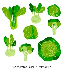 vector cute  childish green vegetables cabbage set on bok choy kohlrabi broccoli salad iceberg white for your design menu cafe farmer market