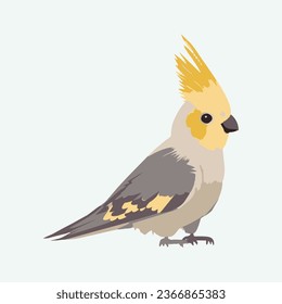 vector cute cockatiel bird cartoon style