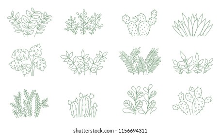 Vector cute collection of house plants. Objects isolated on background, pastel colors. Valentine's day, anniversary, baby shower, birthday, clip art