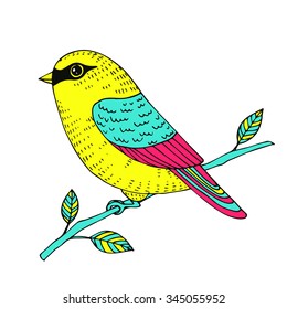 Vector cute colorful canary bird, hand drawn parrot illustration