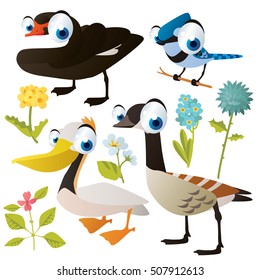 vector cute colorful cartoon isolated birds and flowers illustrations collection: jay, black swan, pelican, canada goose