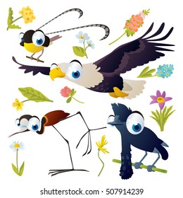 colección de ilustraciones de aves aisladas y flores vectorial lindo y colorido: águila, ave del paraíso, paraguas, jacana