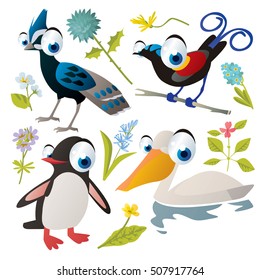 vector cute colorful cartoon isolated birds and flowers illustrations collection: burmese peacock, penguin, pelican